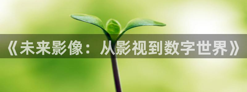 丝瓜视频下载网站